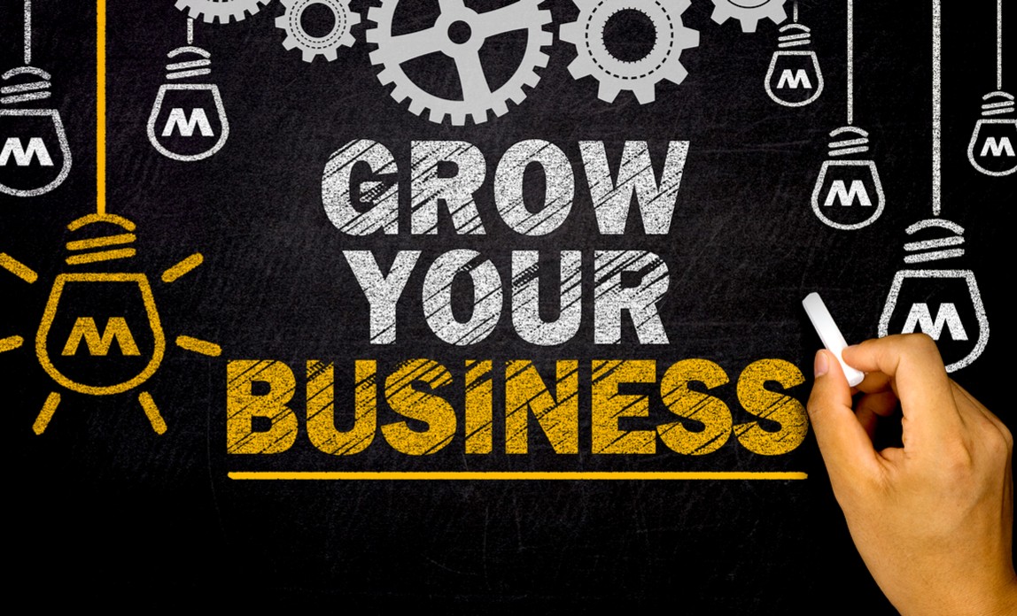 Launching and Growing Your Business